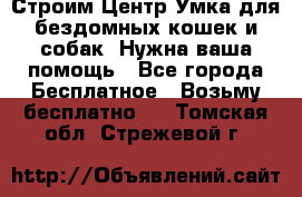 Строим Центр Умка для бездомных кошек и собак! Нужна ваша помощь - Все города Бесплатное » Возьму бесплатно   . Томская обл.,Стрежевой г.